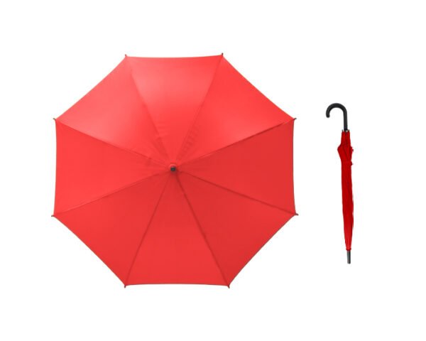 A2550_rojo_lrg.jpg