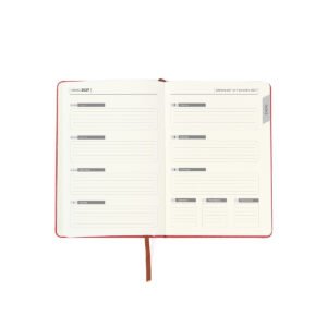 INN-EX-090 – Agenda Semanal Batok. - Image 4