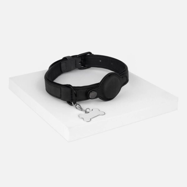 po-pet-011-1.jpg